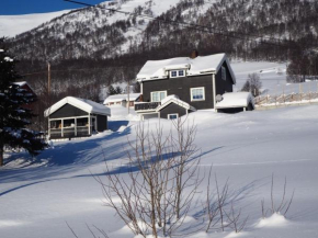 Apartment between Ustaoset and Geilo Geilo